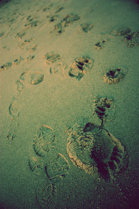 footprints